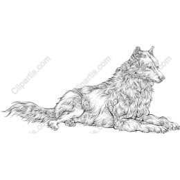 Majestic Wolf