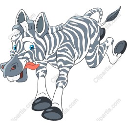 Playful Jumping Zebra