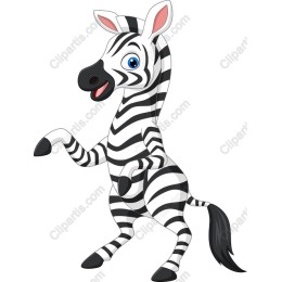 Charming Playful Zebra