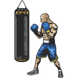 Boxer Training