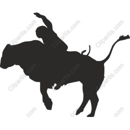 Dynamic Bull Riding