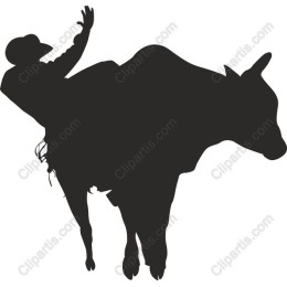Cowboy Rodeo