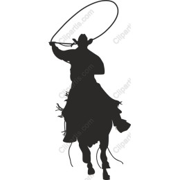 Cowboy Lasso