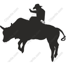 Bull Rider