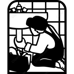 Professional Plumber