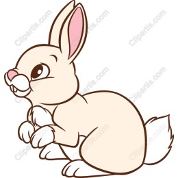 Cute Playful Rabbit
