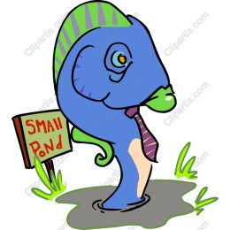 Whimsical Fish Character