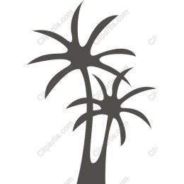 Tropical Palm Tree Drawing
