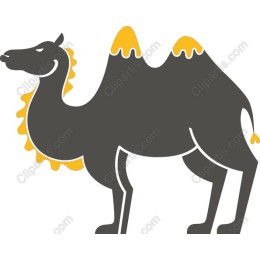 Whimsical Camel