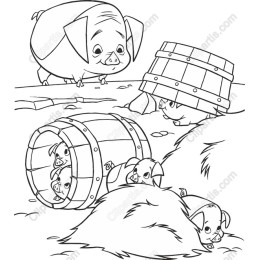 Playful Farm Pigs