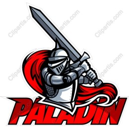 Dynamic Paladin Knight