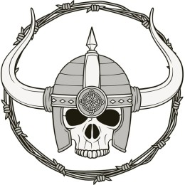 Viking Skull Helmet