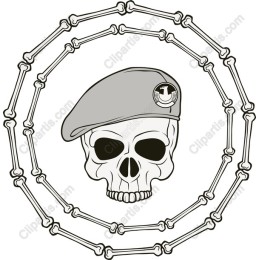 Skull and Bones Commander
