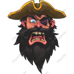 Fierce Pirate Face