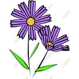 Purple Daisy Delight