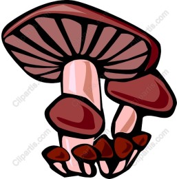 Whimsical Mushroom