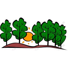Vibrant Forest