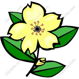 Yellow Flower