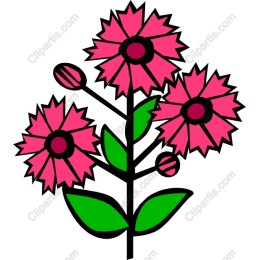 Pink Floral Delight