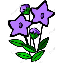 Vibrant Purple Floral