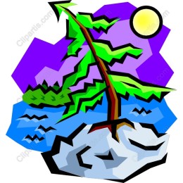 Lively Pine & Water Scene