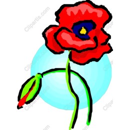 Poppy Flower