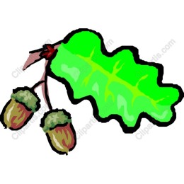 Oak Leaf and Acorns