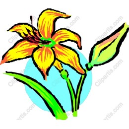 Vibrant Yellow Lily