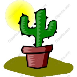 Cactus in Pot