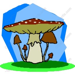 Whimsical Mushroom