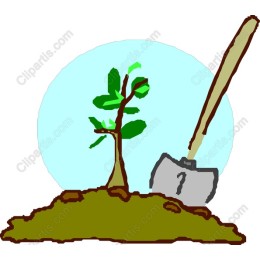 Growing Seedling