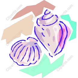 Whimsical Coastal Shell