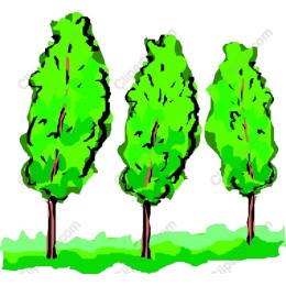 Triple Green Tree