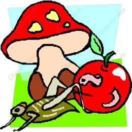 Whimsical Nature : Mushroom, Apple & Snail