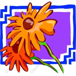 Vibrant Floral - Bold Flower Art