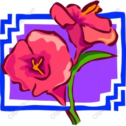 Vibrant Pink Floral