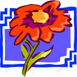 Vibrant Orange Flower
