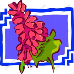 Vibrant Pink Floral