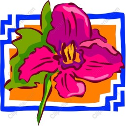 Vibrant Pink Orchid