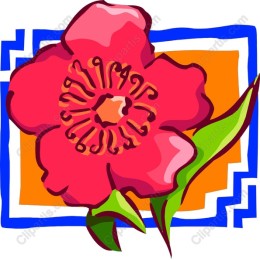 Vibrant Floral