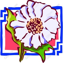 Vibrant Floral