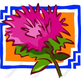 Vibrant Pink Floral