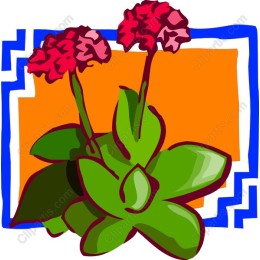 Vibrant Floral