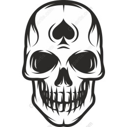 Skull with Spade