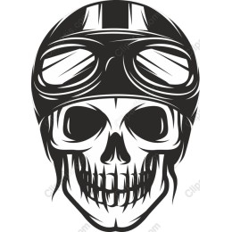 Aviator Skull