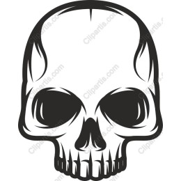 Bold Skull