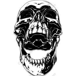 Intricate Skull