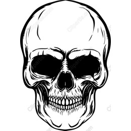 Intricate Skull