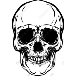 Classic Skull