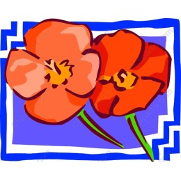 Floral Burst